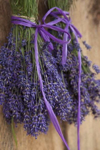 Lavender Drying, Lavender Things, Drying Lavender, Lavender Ideas, Sequim Washington, Lavender Festival, Flower Lavender, Lavender Crafts, Lavender Cottage