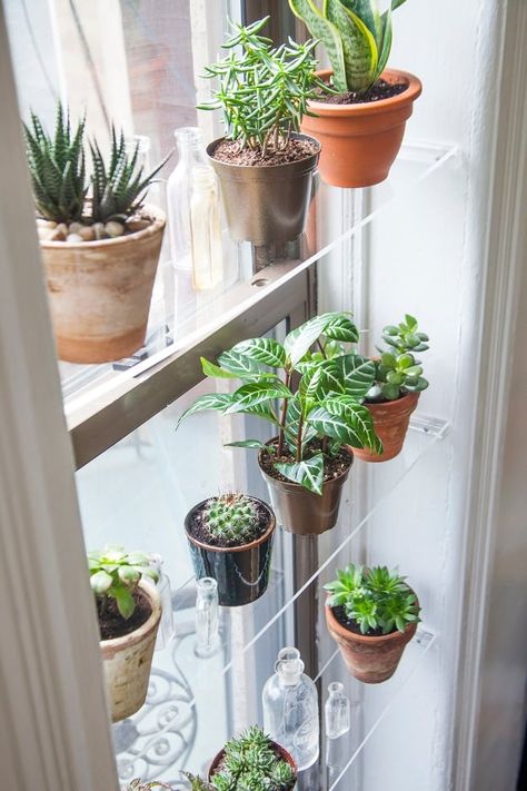 DIY Floating DIY Shelves and Do It Yourself Shelving Ideas - DIY Floating Window Shelves - Easy Step by Step Shelf Projects for Bedroom, Bathroom, Closet, Wall, Kitchen and Apartment. Floating Units, Rustic Pallet Looks and Simple Storage Plans #diy #diydecor #homeimprovement #shelvesShelves Indoor Gardening Diy, Small Kitchen Decoration, Window Plant Shelf, Jardim Diy, Window Plants, Window Shelves, Indoor Window, Small Kitchen Decor, Decoration Plante