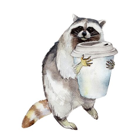 Racoon with coffee mug, animal character isolated on white background. Racoon with coffee mug, animal character isolated on white background watercolor stock illustration Racoon Illustration, Character Watercolor, Raccoon Drawing, Raccoon Art, Animal Character, Cute Raccoon, Raccoon Funny, Background Watercolor, Mug Art