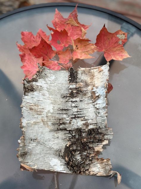 Real White Birch Bark, Birch Bark Sheets, Approximately 8.5 Inches Long By 7 inches Wide Birch Ladder, Bark Crafts, Pinecone Crafts Christmas, Pinecone Crafts, Epoxy Ideas, Wood Bark, Branch Art, Hobby Farm, Pine Cone Crafts