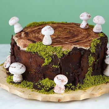 Moss Cake, Stump Cake, Tree Stump Cake, Cookies Fruit, Nature Cake, Mushroom Cake, 17 Birthday Cake, Dessert Treats, Yule Log Cake