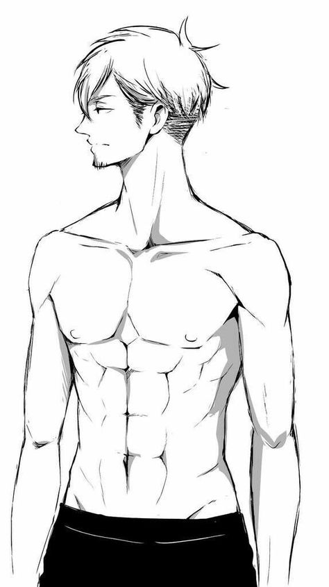 How To Draw Abs, Male Body Drawing, Base Anime, Back Drawing, Human Body Drawing, Body Sketches, Body Base Drawing, Boy Illustration, Boy Drawing