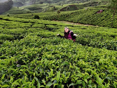 Tea Garden Photography Pose, Wayanad Photography Poses, Ooty Hill Station Photography Poses, Coorg Photography Poses, Ooty Hill Station Photography, Munnar Photography Poses, Hill Station Photography, Hill Station Photography Ideas, Photography Ideas Women