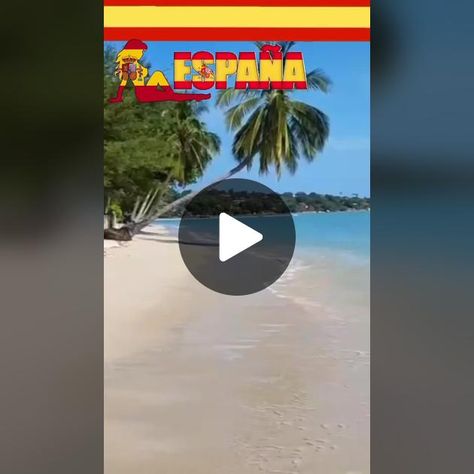 TikTok · Spanish classes Zanzibar Beaches, Bali Beaches, Hidden Beach, Colorful Fish, Crystal Clear Water, Boat Trips, Travel Memories, Beach Club, Marine Life