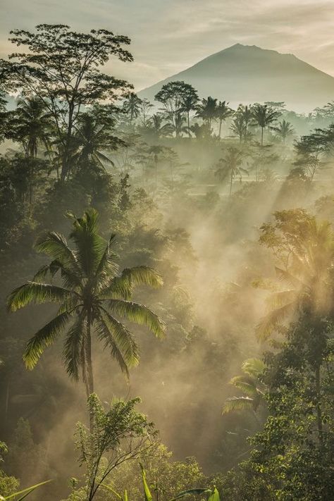 Misty Jungle, Mount Agung, Bali Nature, Jungle Aesthetic, Desain Lanskap, In The Jungle, Tropical Vibes, Alam Semula Jadi, Nature Aesthetic