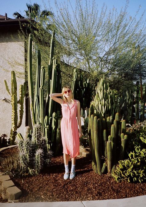 Photo Cactus Fashion Editorial, Cactus Photoshoot, Cactus Fashion, Desert Fashion, Desert Vibes, Fashion Photography Inspiration, Cactus Garden, Summer Inspiration, Green Life