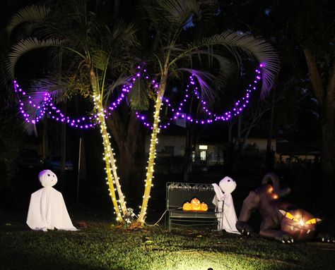 Halloween Decorations Palm Tree Hawaiian Style. Ghosts with cat under lighted Hawaiian Palm Tree. Halloween Hawaiian Style. Tree Outdoor Decor, Tree Halloween Decorations, Walmart Halloween, Uk Halloween, Amazon Halloween, Indoor Halloween Decorations, Target Halloween, Life Lesson, Countries Around The World