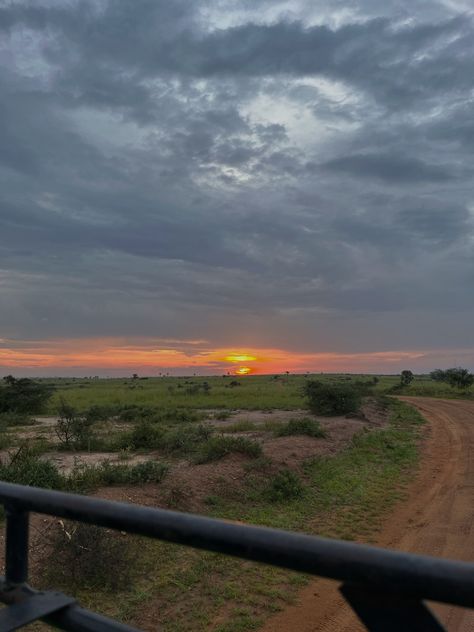 #safari #sunrise #africa #travel #murchisonfalls #jeep South Africa Safari, Safari Photo, Africa Safari, African Safari, Car Travel, Africa Travel, Botswana, Photo Inspo, Rainy Day