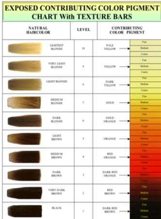 Hair Level Chart, Bleach Hair Color, Hair Color Wheel, Hair Chart, Hair Color Swatches, Hair Levels, Aveda Hair Color, Hair Science, Aveda Hair