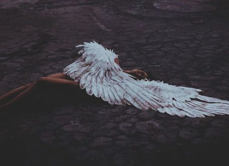 The fallen angel Only Angel Aesthetic, Fallen Angel Aesthetic, Fallen Angel Wings, Only Angel, The Fallen Angel, Evil Angel, Ange Demon, Angel Aesthetic, Aesthetic Tumblr