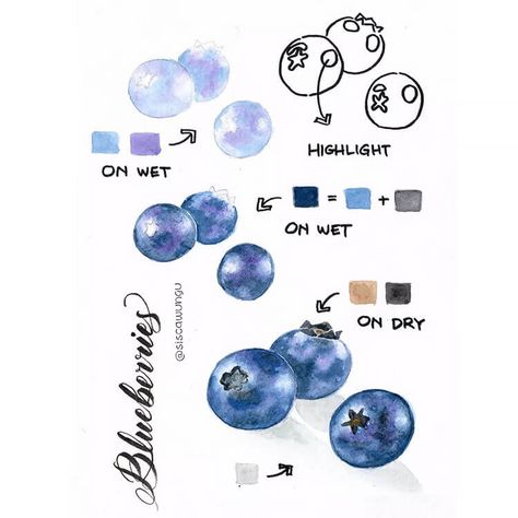 How to Paint Blueberries Fruits To Draw, Watercolor Food Illustration, Beautiful Dawn, Fun Watercolor, Learn Watercolor Painting, Watercolor Art Journal, Step By Step Watercolor, Learn Watercolor, Watercolor Food