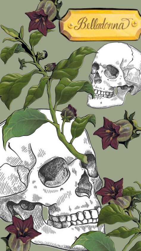 #belladonna #flower #poison Artober 2024, Belladonna Fanart, Belladonna Flower, Amber Aesthetic, Poisonous Flowers, Feminist Symbol, Poison Garden, Deadly Nightshade, Gothic Books