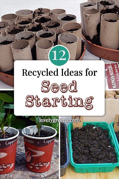 12 Recycled Ideas for Seed Starting: Ideas for starting off your seeds in recycled materials and containers including toilet paper rolls, eggshells, and upcycled plastic cloches. #lovelygreens #gardening #vegetablegardening Recycled Ideas, Lovely Greens, Starting Seeds, Seedling Pots, Toilet Paper Rolls, Recycled Garden, Meteor Garden 2018, Garden Design Layout, Magic Garden