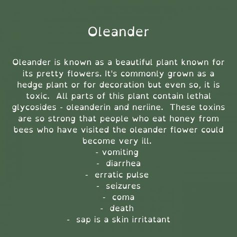 Poisons For Writers, Writing Poison, Poisonous Herbs, Plants Facts, Poison Diaries, White Afro, Poison Garden, Build A Story, Teaching English Grammar