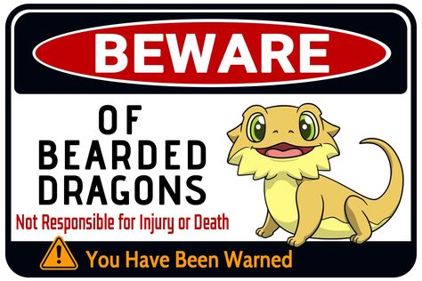 Bearded Dragon Tank, Cage Decor, Reptile Cage, You Have Been Warned, Dragon Lover, Bearded Dragon, Christmas Gifts