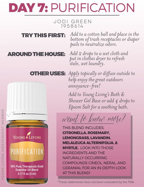 Purification Oil, Frankincense Essential Oil Uses, Young Living Products, Purification Essential Oil, Young Living Oils Recipes, Living Oils Recipes, Oil Dropper, Young Living Essential Oils Recipes, Essential Oils Guide