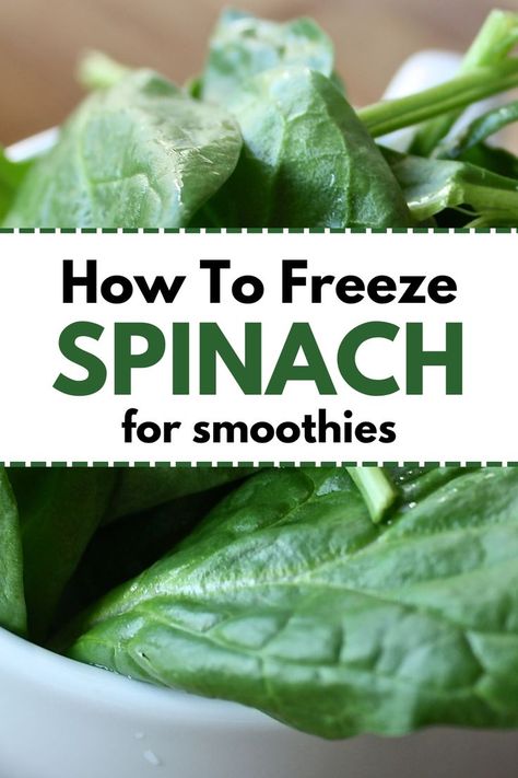 A step-by-step guide on how to freeze fresh spinach for long-lasting freshness. Perfect for freezing vegetables, fresh spinach recipes, and preparing freezable meals. How To Freeze Spinach For Smoothies, Freeze Spinach For Smoothies, Freeze Fresh Spinach, Freezing Spinach, Fruit And Veggie Smoothies, How To Store Spinach, Freeze Spinach, Daily Smoothie, Veggie Smoothies