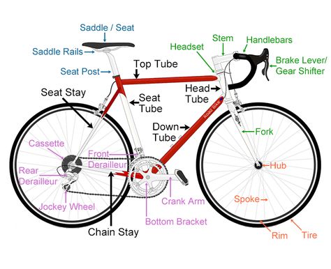 Bike Parts Name, Bicycle Anatomy, Anatomy For Beginners, Sepeda Fixie, Bicycle Paint Job, Bicycle Mechanics, Types Of Cycling, Cycling For Beginners, E Bicycle