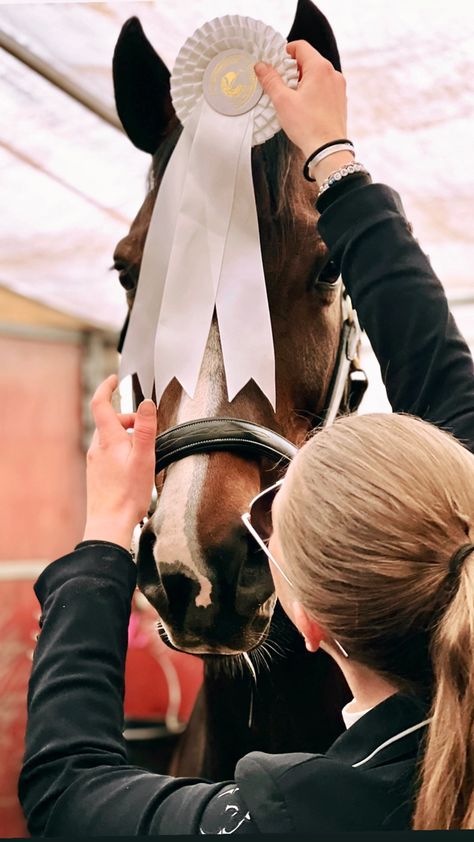 Equestrian outfit, Kep helmet,, equipe, vestrum, samshield, showjumping, equestrian, horse, horses, animal, brown horse Kep Helmet, Jumping Horses, Equestrian Outfit, Show Jumping Horses, Show Horse, Horse Aesthetic, English Riding, Brown Horse, Horse Jumping