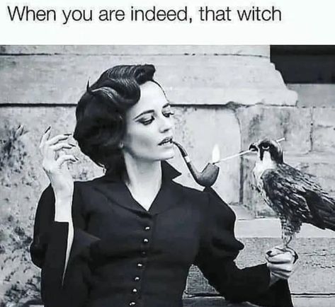 Witch Meme, Witch Jokes, Love Twin Flame, Goth Memes, Funny Witch, Mind Reading, Witch Quotes, Witch Please, Old Souls