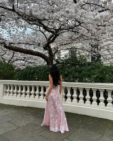 cherry blossom girl 🌸 Blossom Outfit, Cherry Blossom Outfit, Cherry Blossom Girl, Future Life, Cherry Blossom, Blossom, Cherry, Flowers, Quick Saves