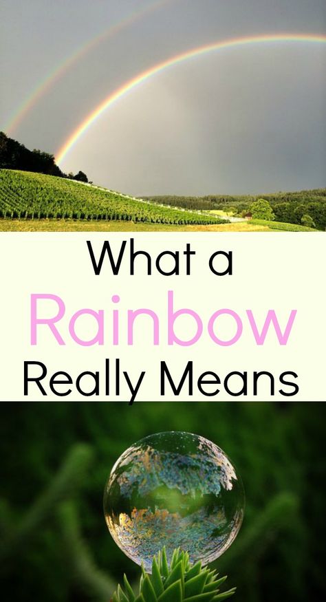 The many colors of the rainbow came from God and not from science. The rainbow symbol promise is also from God - for each one of us. A devotional. Rainbow Symbolism, Rainbow Symbol, Rainbow Meaning, Rainbow Promise, Standing At Attention, Bible Study Topics, Personal Bible Study, God's Promise, Family Worship