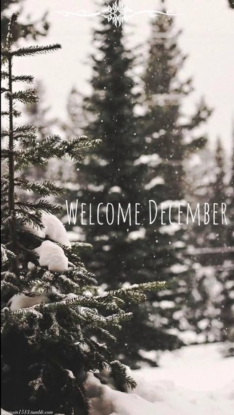 Welcome December, December Wallpaper, Seasons Months, Cold Time, Hello December, Cute Christmas Wallpaper, December Birthday, Poster Background Design, Winter Wallpaper