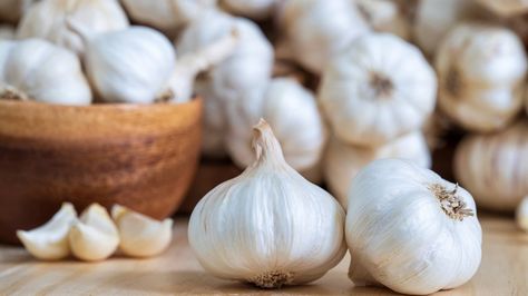 Why The 'Garlic Rocket' Could Be A Kitchen Game-Changer Preserving Garlic, Cashew Apple, The Daniel Plan, Hardneck Garlic, Garlic Health Benefits, Grow Gorgeous, Pickled Garlic, Raw Garlic, Pain Relief Cream