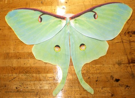 DIY butterfly costume wings tutorial. Luna moth! Moth Template, Butterfly Wings Tutorial, Toddler Butterfly Costume, Diy Butterfly Costume, Wing Tutorial, Wings Tutorial, Diy Wings, Costume Wings, Butterfly Costume