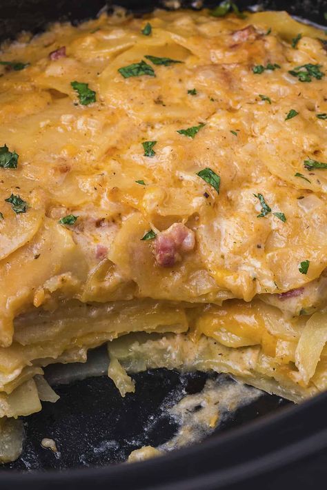 Slow Cooker Scalloped Potatoes with Ham Scalloped Potatoes And Ham Crockpot, Potatoes And Ham Crock Pot, Ham And Scalloped Potatoes Crockpot, Scalloped Potatoes And Ham Crock Pot, Crock Pot Ham And Potatoes, Ham Crock Pot, Scalloped Potatoes With Ham, Potatoes With Ham, Slow Cooker Scalloped Potatoes