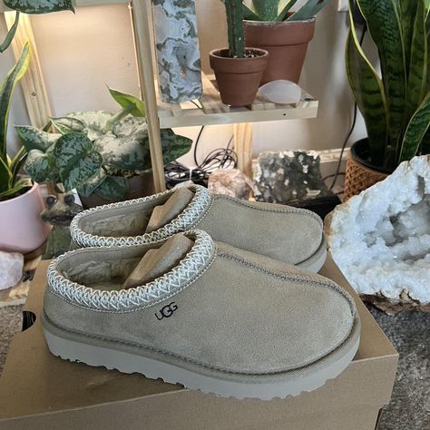 Ugg Tasman slipper mustard seed Sold out everywhere... - Depop Winter Uggs, Ugg Tasman Slippers, Ugg Tasman, Early Fall Outfit, Mustard Seed, Autumn Photography, Christmas List, Winter Boots, Mustard