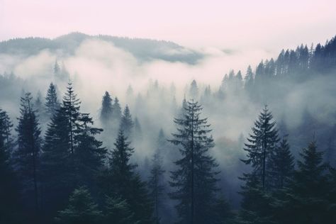 A foggy forest land landscape outdoors. AI generated Image by rawpixel. | premium image by rawpixel.com / Boom Cloud Scenery, Fog Photography, Indian Flag Wallpaper, Flag Wallpaper, Foggy Forest, Forest Mountain, Indian Flag, Plant Aesthetic, Nature Backgrounds