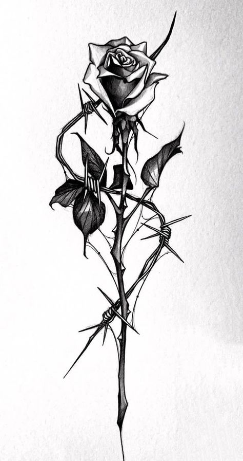 Rose With Thorns Spine Tattoo, Dark Rib Tattoo, Tattoo Inspo Drawing, Barb Wire Spine Tattoo, Gothic Rose Drawing, Rose With Thorns Tattoo Design, Rose With Spider Web Tattoo, Thorn Vine Tattoo Men, Feminine Barbed Wire Tattoo