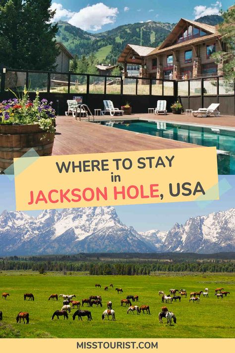 Places To Stay In Jackson Hole Wyoming, Where To Stay In Jackson Hole Wyoming, Jackson Hole Wyoming October, Jackson Hole Wyoming Spring, Jackson Wyoming Summer, Jackson Hole Wyoming Summer, Wyoming Travel Road Trips, Yellowstone Vacation Planning, Wyoming Trip