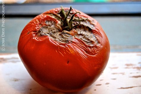 Rotten Rotting Strawberry, Rotten Fruit Will Fall By Itself, Rotting Fruit Art, Rotten Vegetables, Rotten Fruit Aesthetic, Rotting Food, Decay Photography, Rotten Food, Rotten Fruit Still Life