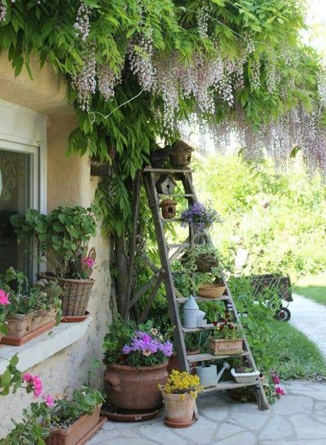 ☮ American Hippie Bohéme Boho Lifestyle ☮ Patio .. Ladder Ladder Plant Stand, Decoration Photography, Side Yards, Cottage Garden Design, Nature Architecture, Photography Architecture, Have Inspiration, A Ladder, Plants And Flowers