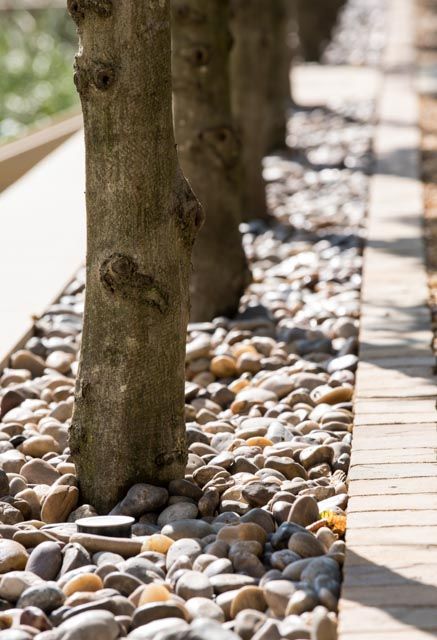 Tree and path avenue - sandstone setts. Old Rectory, Quinton. Landscape and Garden Designer: Anoushka Feiler of Bestique Landscape. Contractor: Breathe. Photo: Jacqui Hurst. Sandstone Setts, Design Problems, Garden Design Inspiration, Landscape Garden Design, Contemporary Garden Design, Garden Designer, Contemporary Garden, Landscape Garden, Interesting Ideas