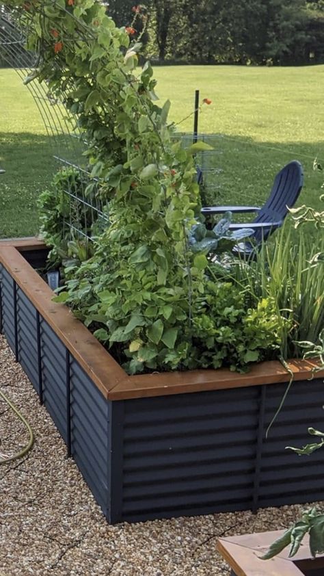 Black Garden Boxes, Black Raised Beds, Vegetable Garden Against House, Black Veggie Garden, Black Metal Raised Garden Beds, Black Garden Beds, Black Raised Garden Beds, Modern Raised Garden Beds, Modern Vegetable Garden Design