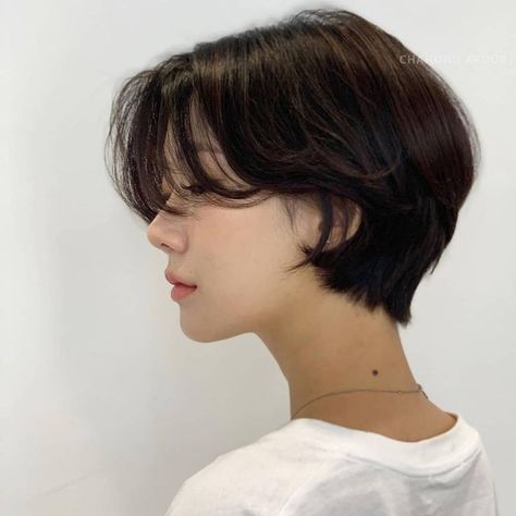 Shortish Hair, Tomboy Haircut, Tomboy Hairstyles, Short Hair Tomboy, Korean Short Hair, Really Short Hair, Asian Short Hair, Hair Inspiration Short, Shot Hair Styles