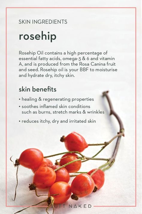 Rosehip Oil Benefits Skincare, Rosehips Benefits, Rosehip Benefits, Rosehip Seed Oil Benefits, Rosehip Oil For Face, Benefits Of Rosehip Oil, Rosehip Oil Benefits, Skin Facts, Essential Oils Herbs