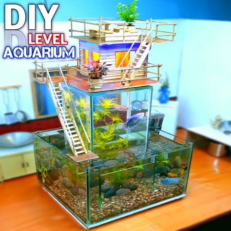 Multi Level Aquarium, How To Make Aquarium Decorations, Aquarium Decorations Ideas, Small Aquascape, Home Fish Tank Ideas, Homemade Aquarium Decorations, Fish Tank For Kids, Homemade Aquarium, Home Fish Tank