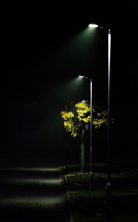 streetlight, mist, road light, scene, autumn, outdoor, night, lights | Piqsels Night Street Photography, Road Light, Zero Wallpaper, Iphone Wallpaper Lights, Light Wallpaper, Night Street, Easter Wallpaper, Silhouette Painting, Iphone Wallpaper Hd Nature