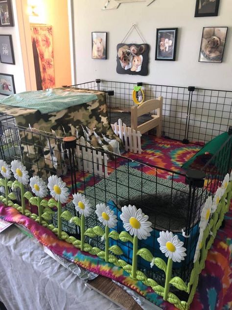 Guinea Pigs Cage Ideas, Guinea Pig Enclosure, Rabbit Enclosures, Pig Enclosure, Guinea Pig Cage Ideas, Indoor Guinea Pig Cage, Fake Flowers Decor, Diy Guinea Pig Cage, Guinea Pig Cages