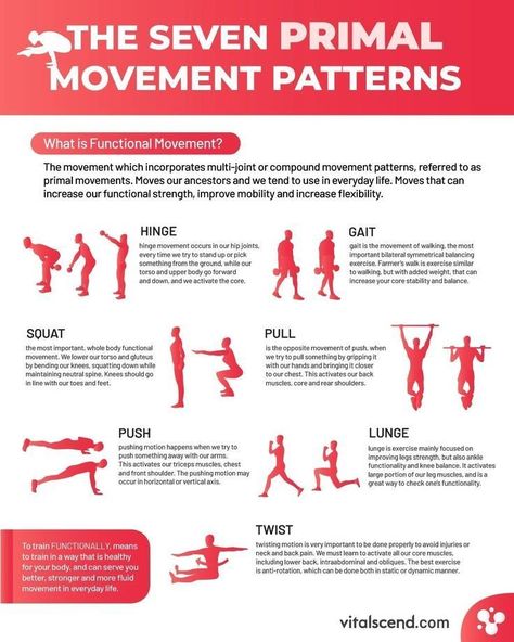 Movement Workout, Compound Movements, Primal Movement, Paleo Workout, Holistic Fitness, Farmers Walk, Functional Movement, Build Strength, Strength Training Workouts