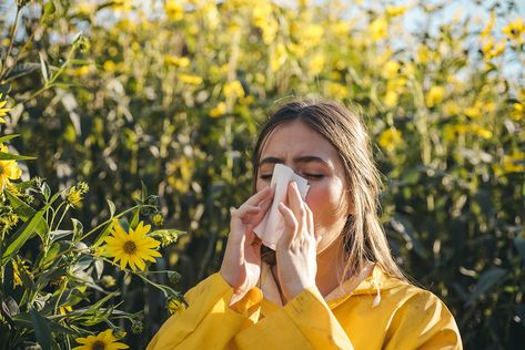 Cold Or Allergies, First Aid Course, Hay Fever, Pollen Allergies, High Fever, Soy Products, Sinus Infection, Runny Nose, Allergic Reaction