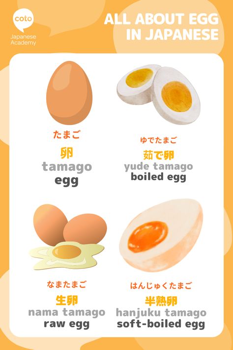 Japanese Food Vocabulary, Learn Japanese Beginner, Food Egg, Learn Japan, Japanese Egg, Japanese Vocabulary, Japanese Treats, Materi Bahasa Jepang, Food Vocabulary