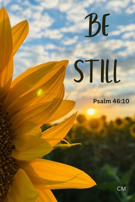 Faith In God Wallpaper Aesthetic, Bible Verse With Sunflowers, Be Still And Know That I Am God Wallpaper, Be Still And Know Wallpaper, Sunflower Aesthetic Quotes, Bible Verse Wallpaper Bible Verse Wallpaper Aesthetic, Psalm 46 10 Wallpaper, Psalms Wallpaper, Be Still And Know That I Am God