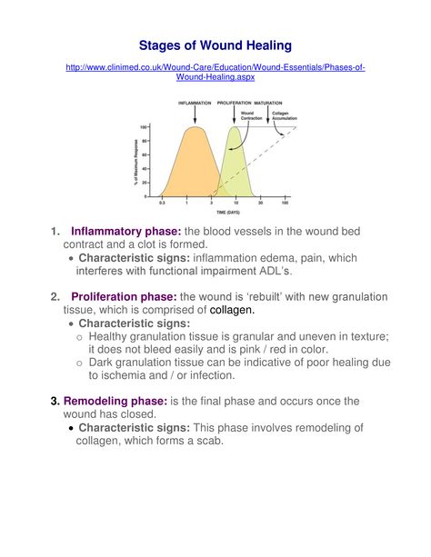 Stages Of Wound Healing, Pt School Notes, Wound Healing Nursing, Nbcot Exam Prep, Wound Management, Nbcot Exam, Charting For Nurses, Occupational Therapy Schools, Pt School