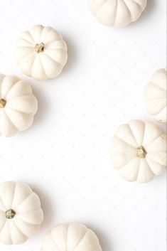 iPad customization - white theme on Pinterest Holiday Images, Fall Background, Whatsapp Wallpaper, Styled Stock Photography, Styled Stock Photos, White Pumpkins, Styled Stock, Fall Wallpaper, Fall Collection