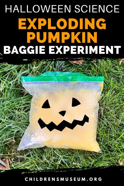 Baggie lying on the grass filled with orange liquid puffed up and ready to explode. There's a jack o'lantern face drawn on the front of the baggie with two triangle eyes, a triangle nose, and a zig zag smile. Pumpkin Science Experiment, Halloween Experiments, Pumpkin Science, Orange Food, Baking Soda And Vinegar, Halloween Science, Orange Food Coloring, Baking Soda Vinegar, Last Minute Halloween